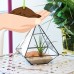 Mindful Design Geometric Diamond Desktop Garden Planter Glass Terrarium   